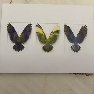 Postcard - Agapornis Biophilia: Art of Christopher Marley